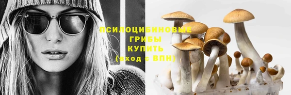 ALPHA-PVP Бугульма