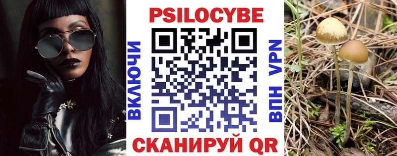 Галлюциногенные грибы мицелий  Зима 