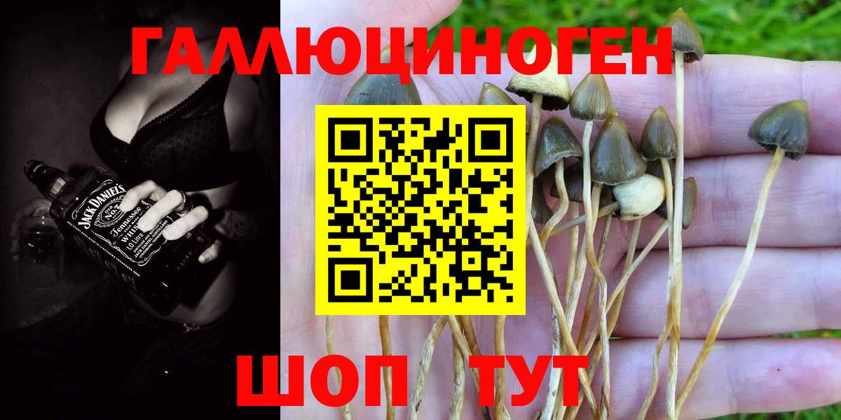 Псилоцибиновые грибы Magic Shrooms Зима