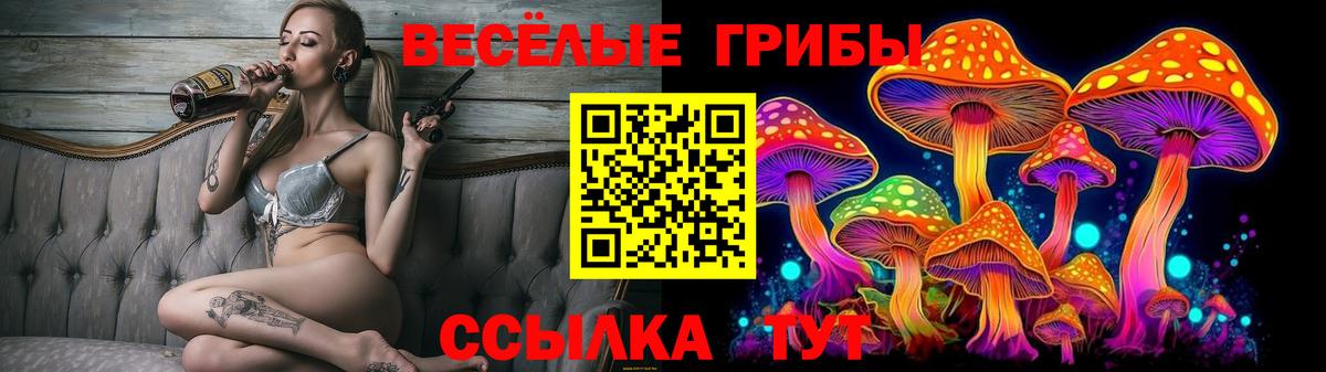 Псилоцибиновые грибы мицелий  Галлюциногенные грибы Psilocybine cubensis  Зима  Вход с VPN 